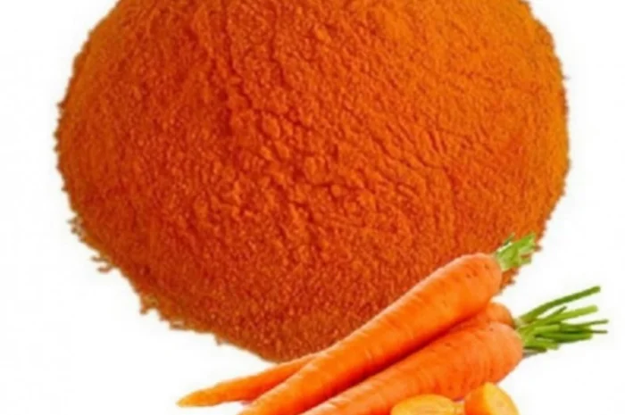 Продается морковный порошок- фото № 1