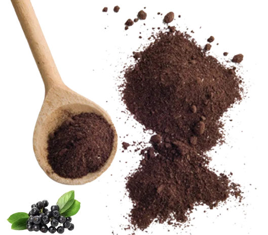 Пропонується порошок з аронії- фото № 1