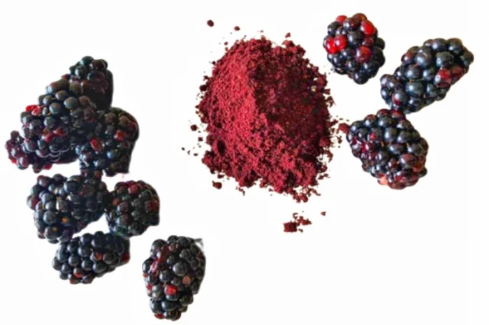 Продается порошок из ожины- фото № 1