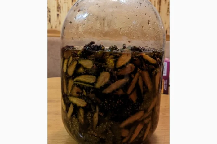 Цілющий сироп із сосновиз шишок- фото № 2