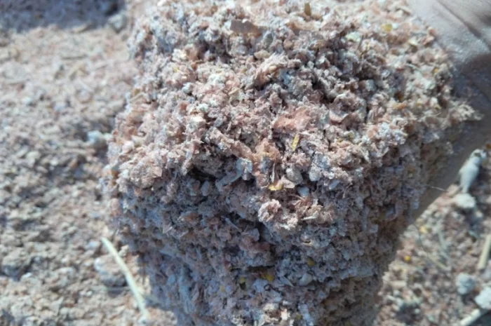 Куплю зерновідходи різні відходи отходи- фото № 1