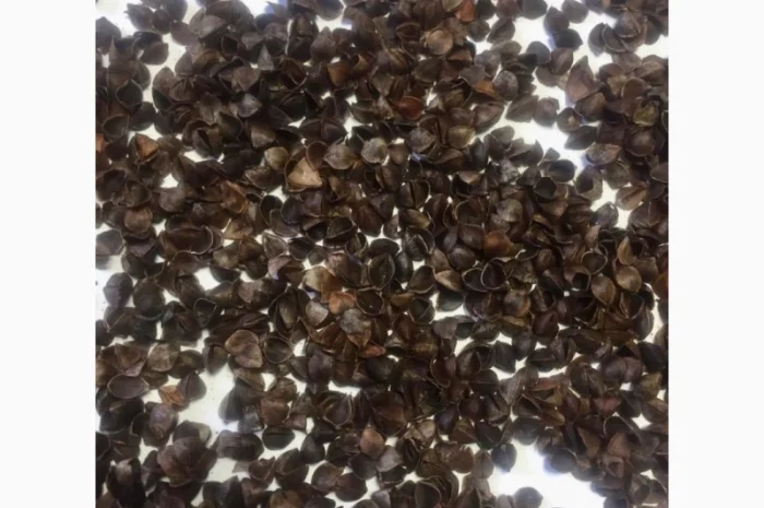 Продам шелуху гречневую- фото № 2