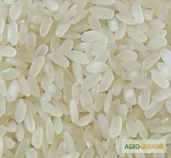 Бакалея, полный ассортимент- фото № 11