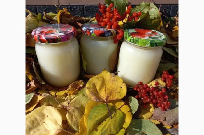 Борсучий жир- фото № 1