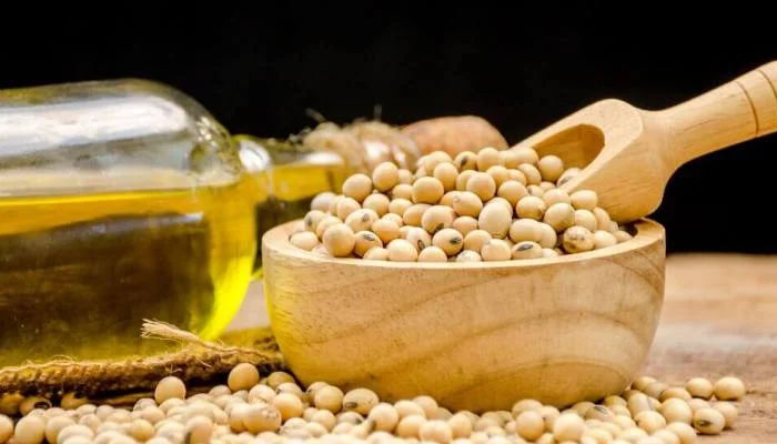 Масло соевое- фото № 1