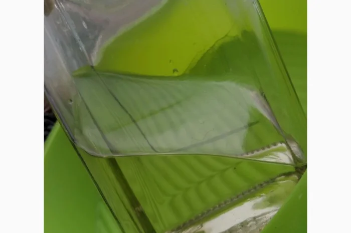 Продам ореховое масло- фото № 2