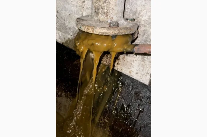 Оливу соняшникову масло подсолнечное 1 сорт техническое колу купуємо- фото № 4