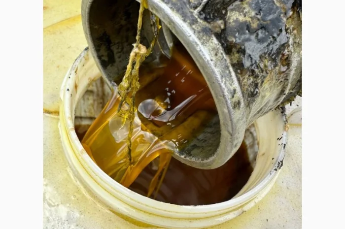 Оливу соняшникову масло подсолнечное 1 сорт техническое колу купуємо- фото № 7