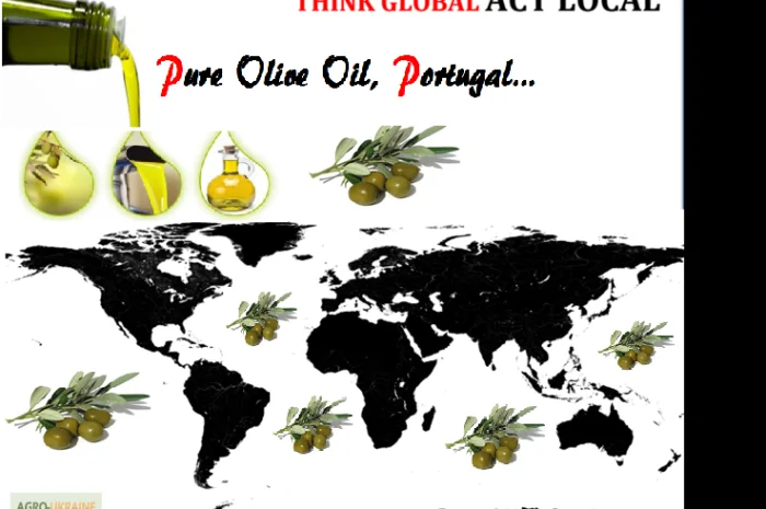 Оливковое масло разной кислотности в продаже- фото № 2