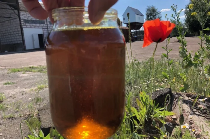 Продаємо фільтровану соєву олію від 50 кг (без фузи)- фото № 1