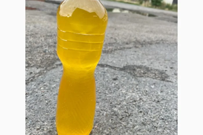 Продается подсолнечное масло наливом- фото № 1