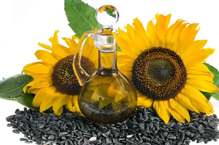 Масло подсолнечное рапсовое, кукурузное соевое только прямой экспорт- фото № 1