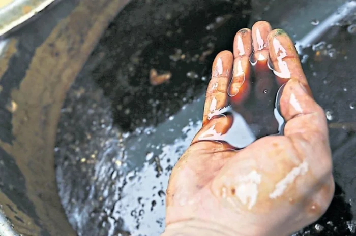 Куплю растительное масло с кислотностью до 25 KOH- фото № 2