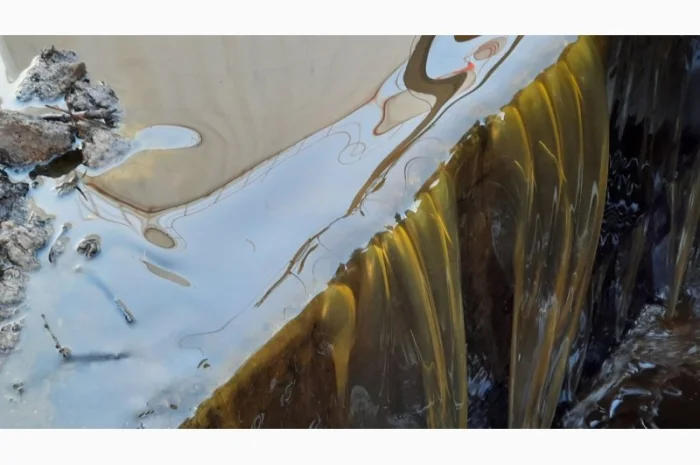 Куплю растительное масло с кислотностью до 25 KOH- фото № 1