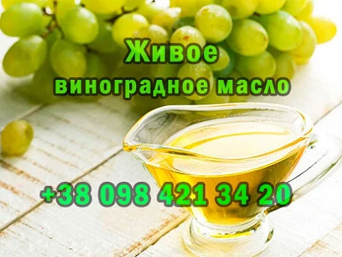Продается свежевыжатое виноградное масло- фото № 1