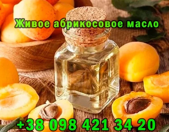Продается свежеотжатое абрикосовое масло- фото № 2