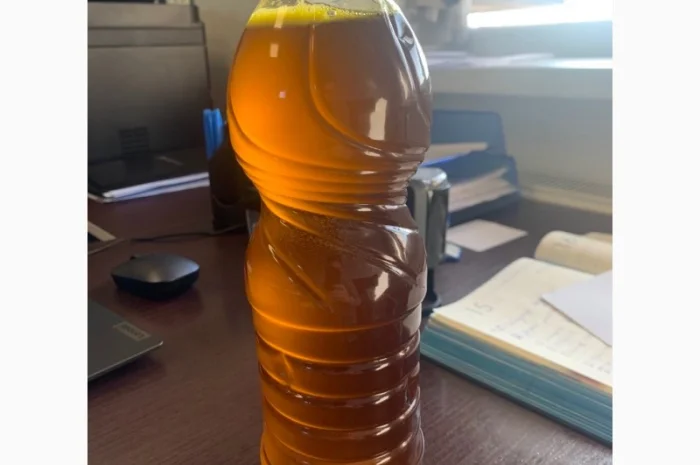 Закупаем подсолнечное масло 1 сорта- фото № 1