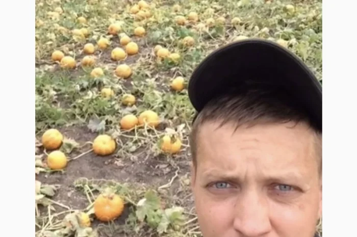 Гарбузова олія- фото № 2