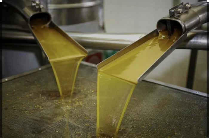 Продается рафинированное подсолнечное масло наливом- фото № 1