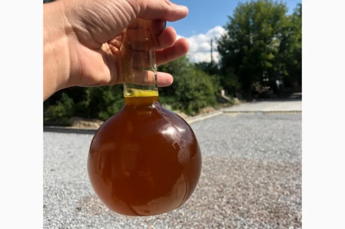 Соєва олія (нерафінована) від виробника- фото № 1