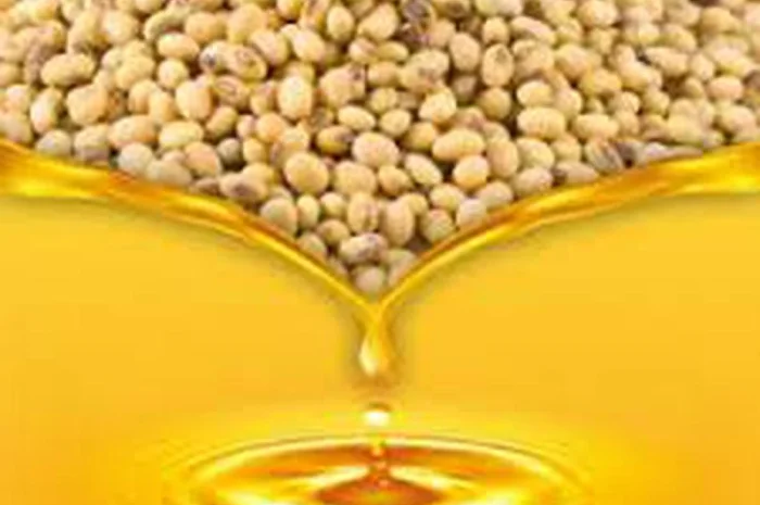 Продам олію соєву- фото № 1