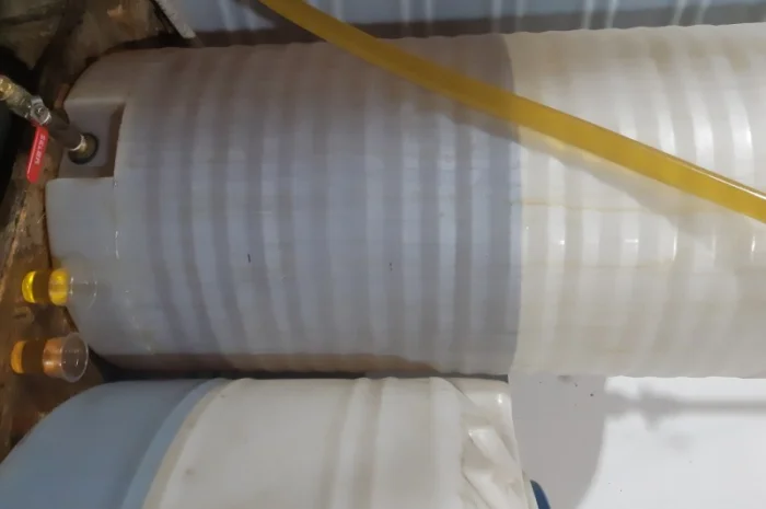 Целебное подсолнечное масло первого холодного отжима- фото № 3