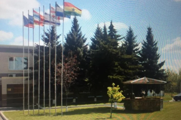 Продажа муки от украинского производителя от 500 тонн- фото № 4