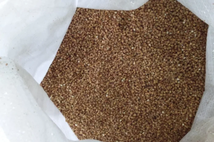 Гречневая крупа ядрица в продаже- фото № 2