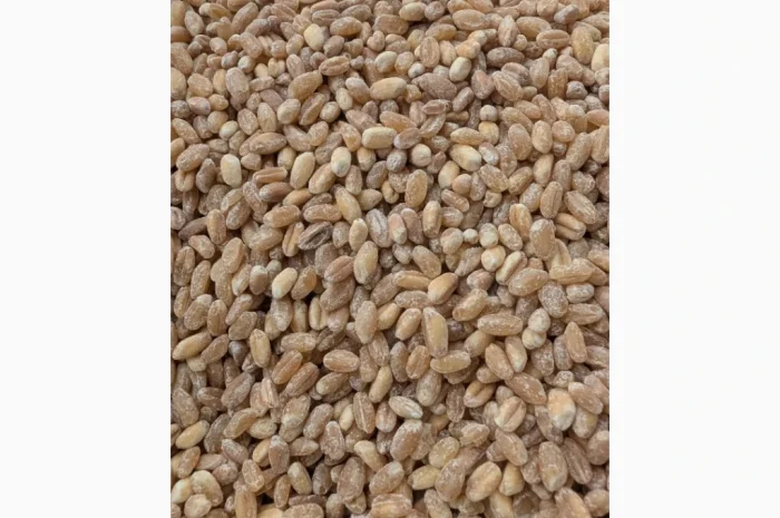 Пропонується Кутя з твердих і м'яких сортів пшениці- фото № 3