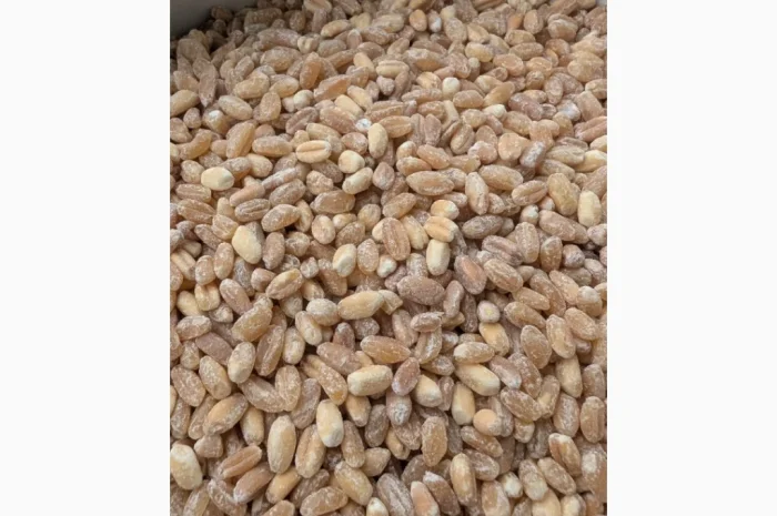 Пропонується Кутя з твердих і м'яких сортів пшениці- фото № 4