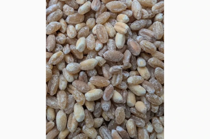 Пропонується Кутя з твердих і м'яких сортів пшениці- фото № 5