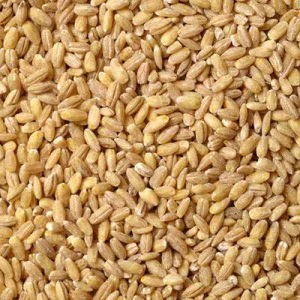 Перлова крупа оптом зі складу- фото № 1