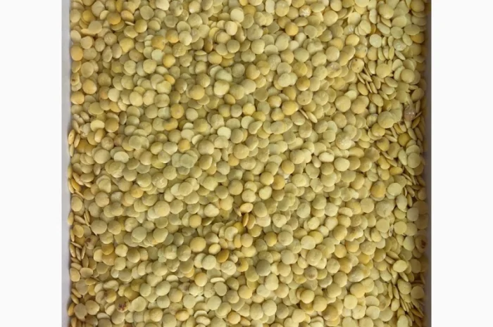 Чечевица зеленая- фото № 1