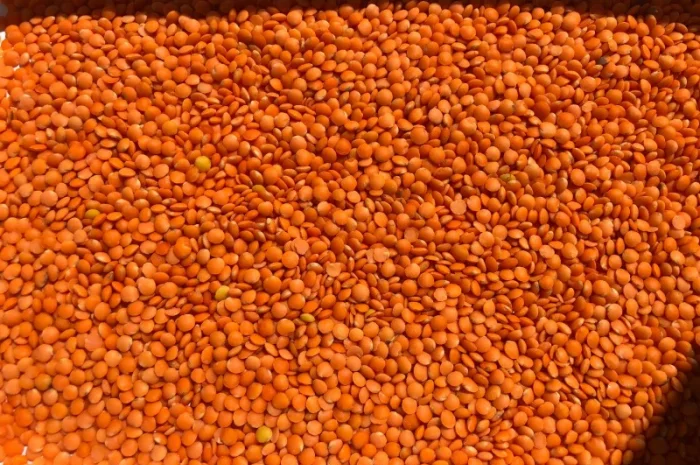 Чечевица красная (шелушенная)- фото № 1
