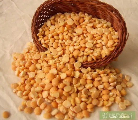 Продам горох колотый желтый- фото № 1