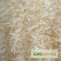 Рис Камолино Эксклюзив- фото № 1