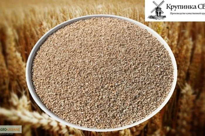 Крупа пшенична від виробника- фото № 1