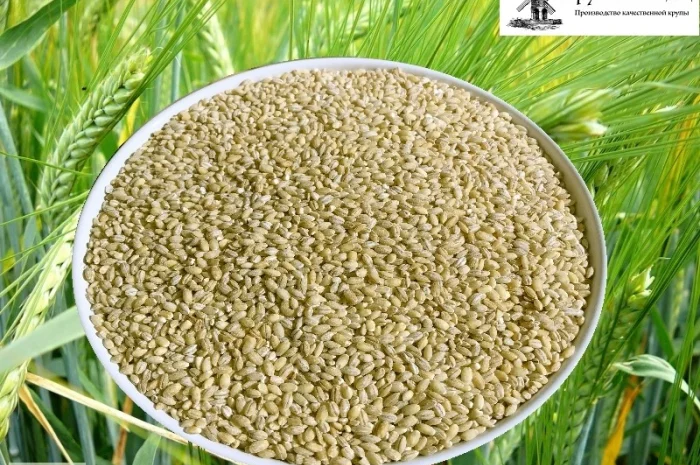 Крупа ячмінна перлова від виробника- фото № 1