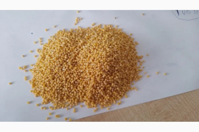 Пшоно в/г від виробника- фото № 1