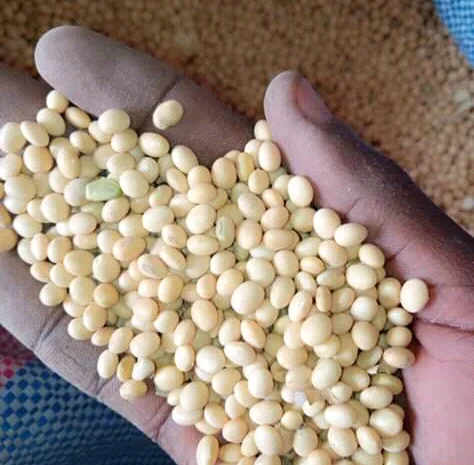 СРОЧНО продам по Украине на экспорт крупы от производителя с 20 тонн- фото № 2