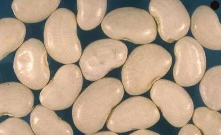 Купуємо крупи оптом на експорт- фото № 7