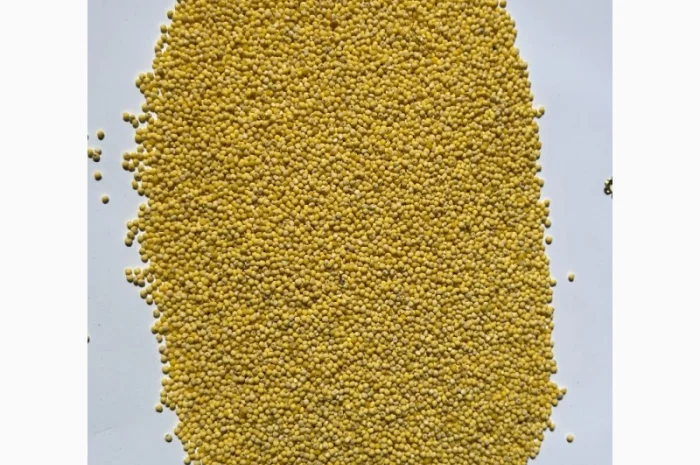 Крупа пшоно- фото № 1