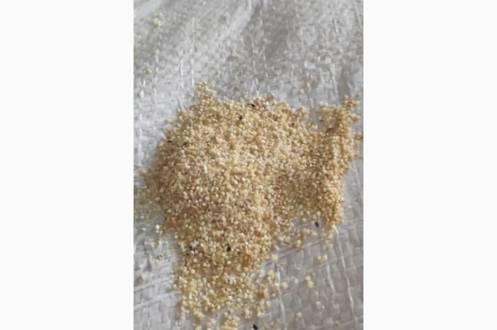 Січка пшона- фото № 1