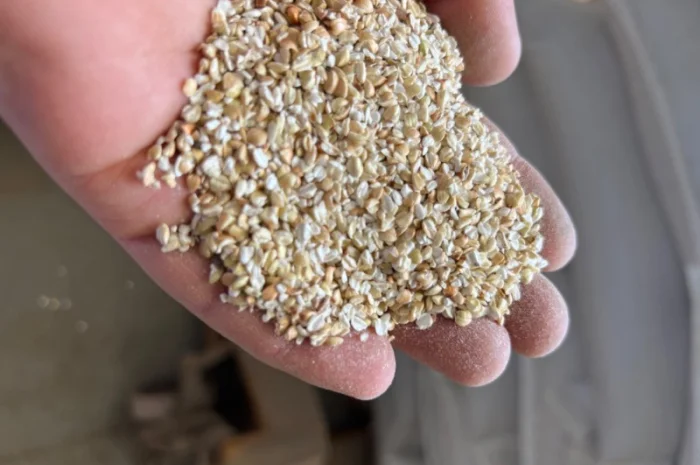 Продам гречану січку(проділ)- фото № 1