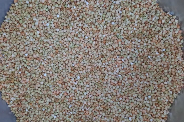 Гречка, крупа гречана зелена- фото № 3