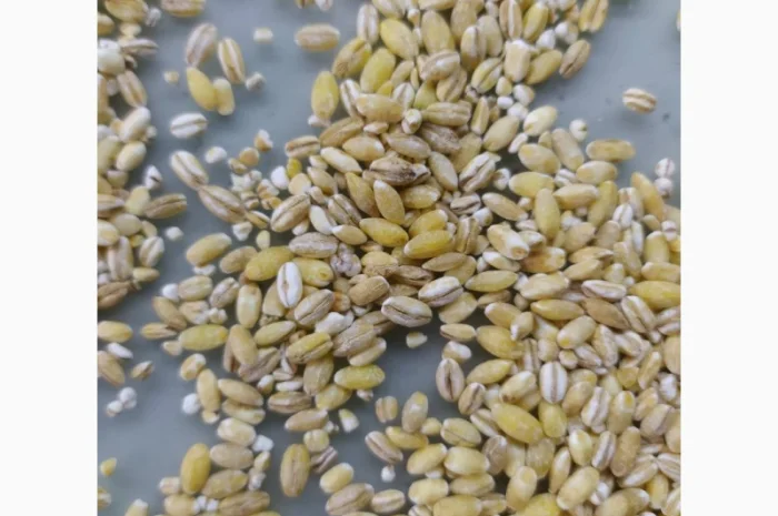 Крупи ячмінні перлові ТМ "ЕКОР" від виробника- фото № 2