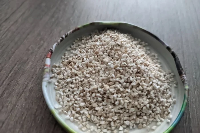 Крупа пшенична або ячмінна- фото № 2