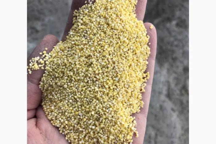 Пшено- фото № 1