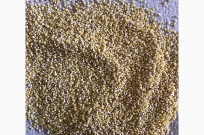 Пшено- фото № 2