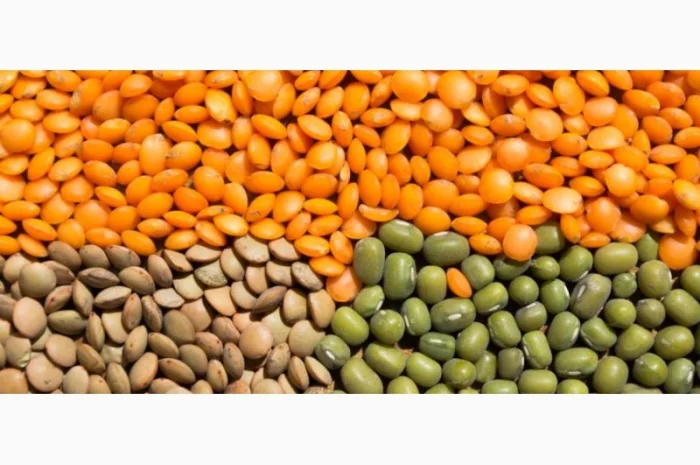 Чечевица зеленая в мешках по 25 кг- фото № 1